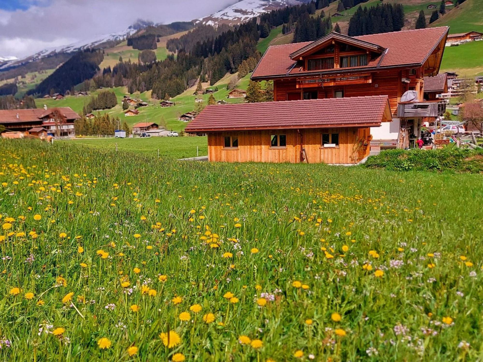 Apartment Laerchehuus By Interhome Adelboden Extérieur photo